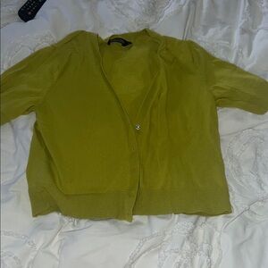 New York & Company Light Green Cardigan Sweater